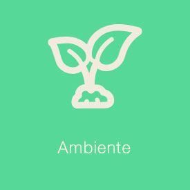 ambiente